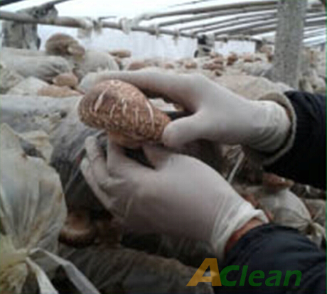 點擊瀏覽下一頁