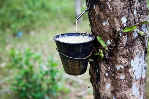 點擊瀏覽下一頁