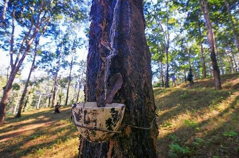 點擊瀏覽下一頁
