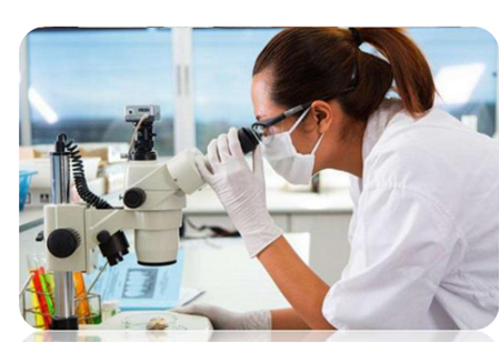 點擊瀏覽下一頁